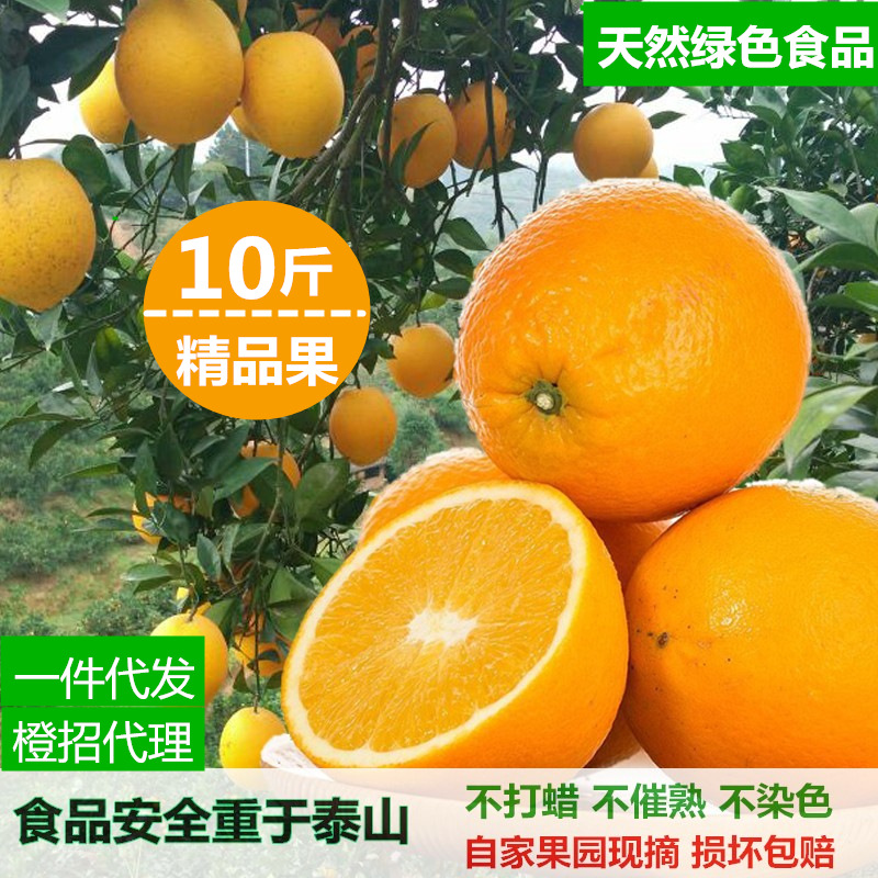 富川臍橙 優(yōu)質(zhì)新鮮水果批發(fā)的不二之選