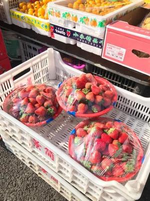草莓車?yán)遄犹鹈凵鲜校迈r水果批發(fā)價(jià)格觀察